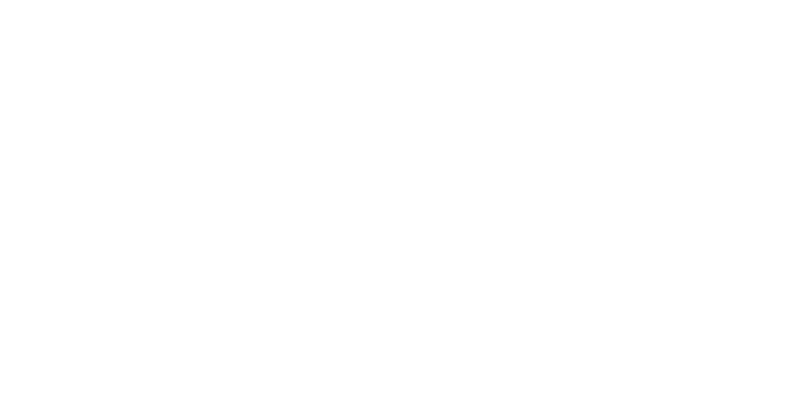 logo-alpina Partner Alpina